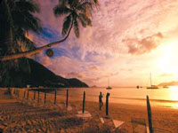 Tortola_Cane_Garden_1.jpg